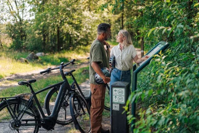 Stel met e-bikes leest een routebord bij een fietsknooppunt aan de rand van het bos