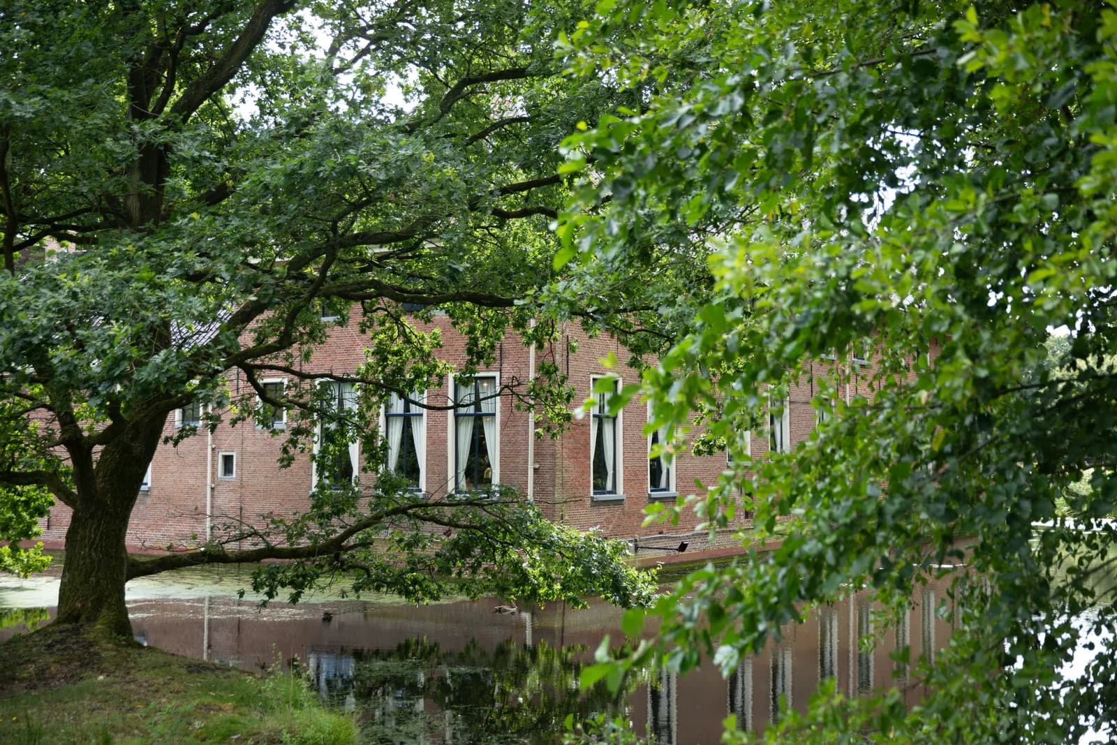 Bakstenen havezate achter de gracht, gezien door de takken van een oude eik