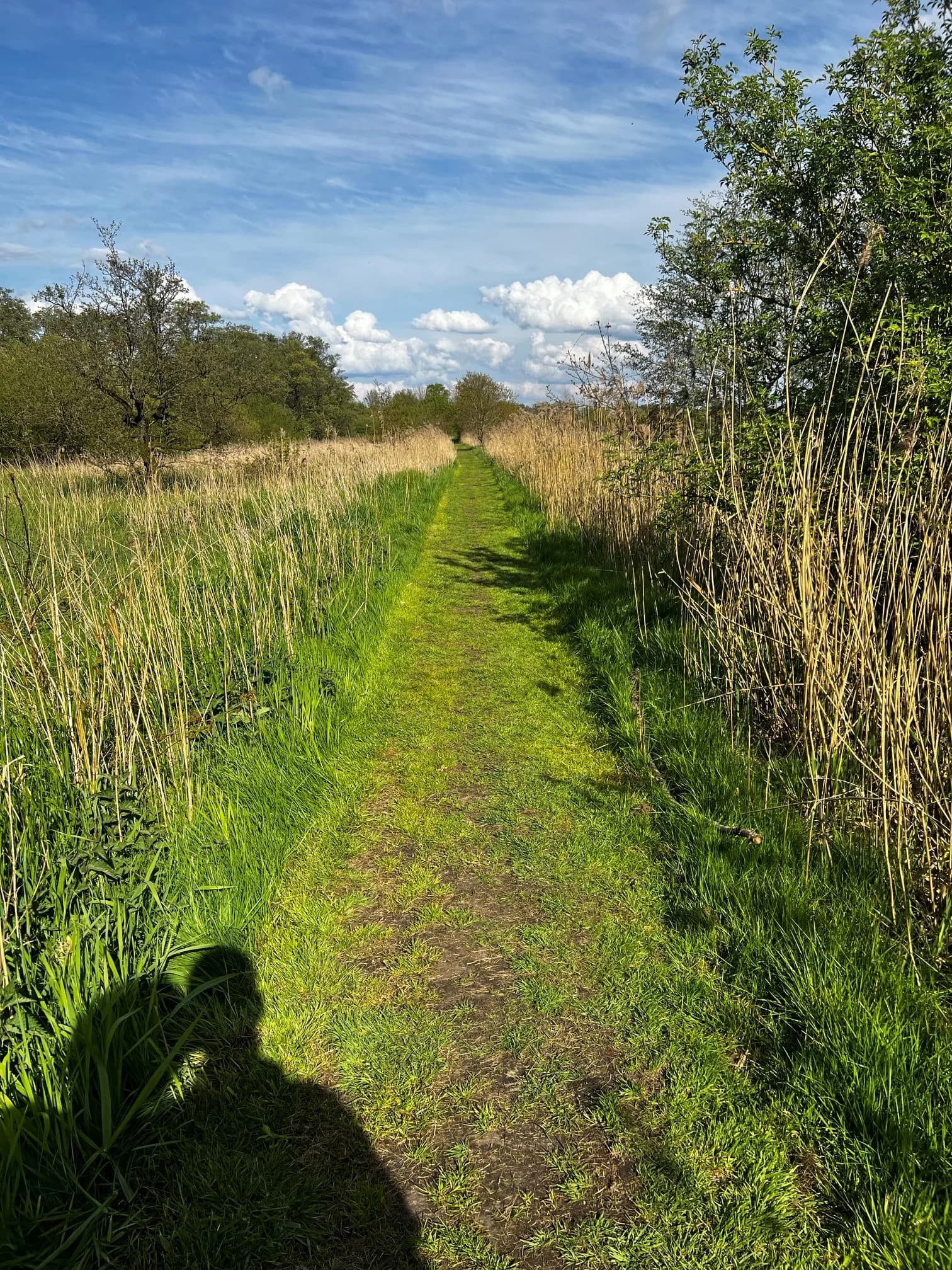 Gemaaid graspad tussen riet en struiken bij het Leekstermeer, onder een blauwe lucht met stapelwolken