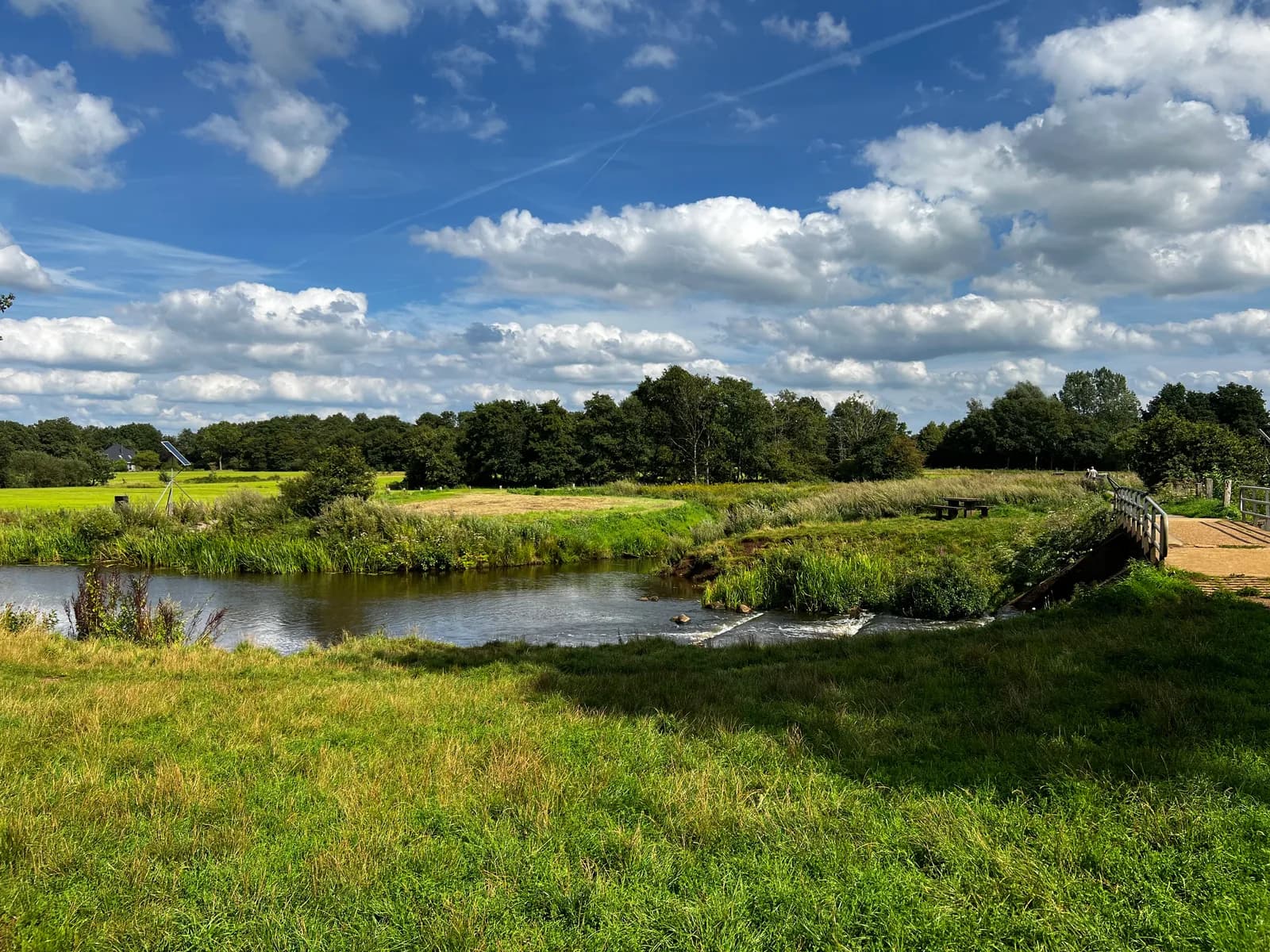 Vistrap in de beek van het Sterrebos in de zomer, met een houten brug en weilanden erachter