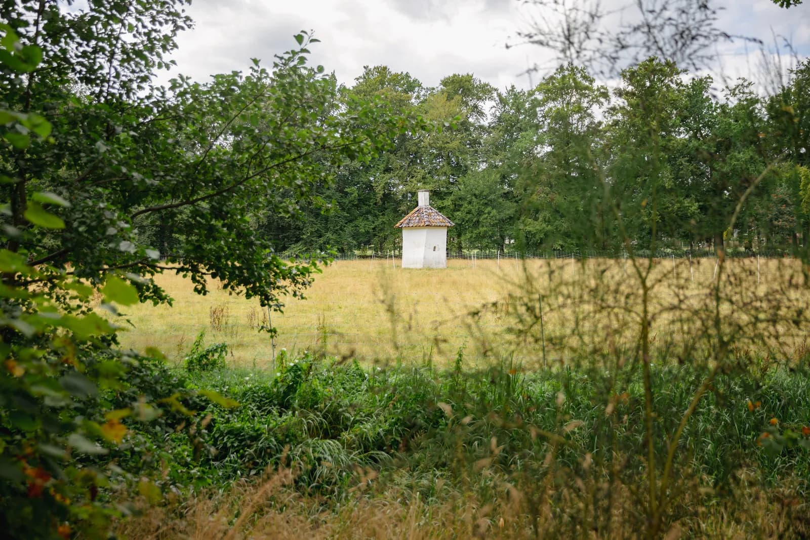 Wit koepeltje met pannendak midden in een geel weiland aan de bosrand