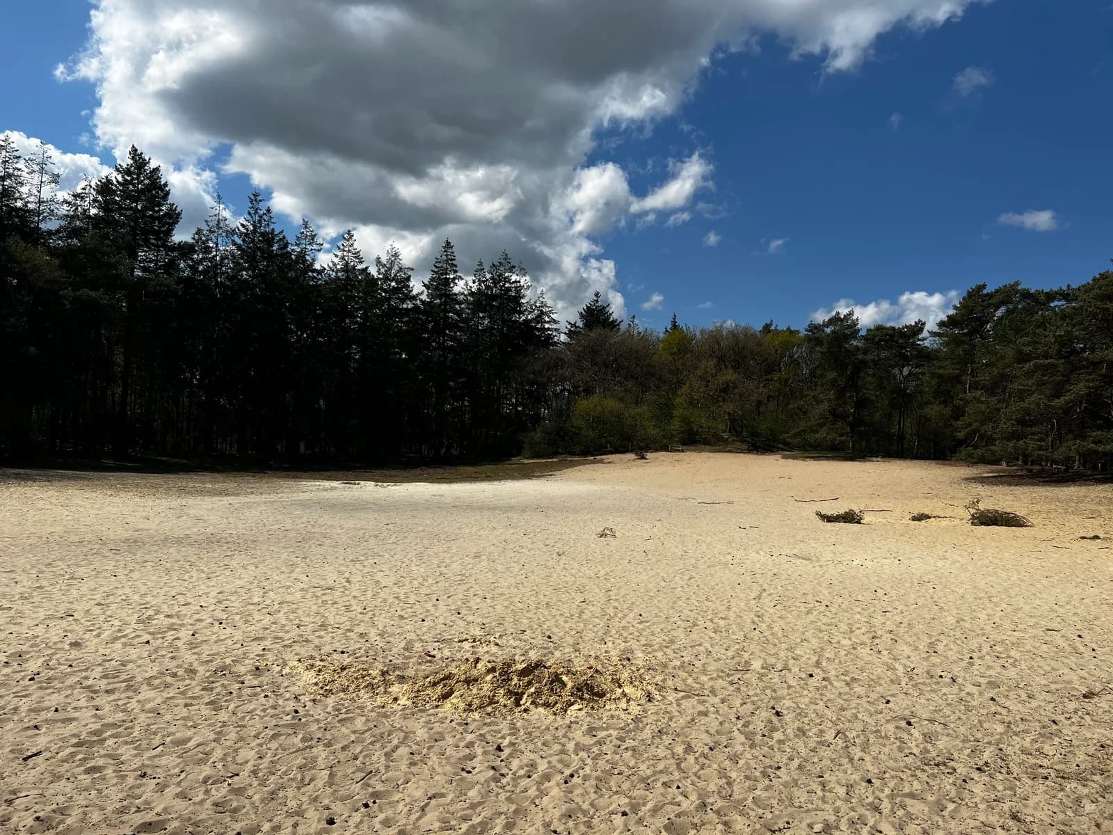 Open zandvlakte van de Zuursche Duinen met een donkere bosrand onder een lucht met stapelwolken