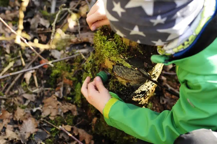 Geocaching Drenthe