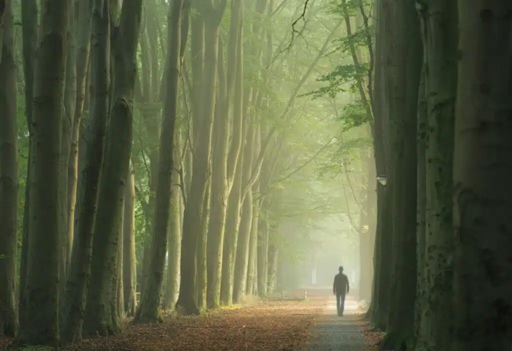 Wandelen in Drenthe