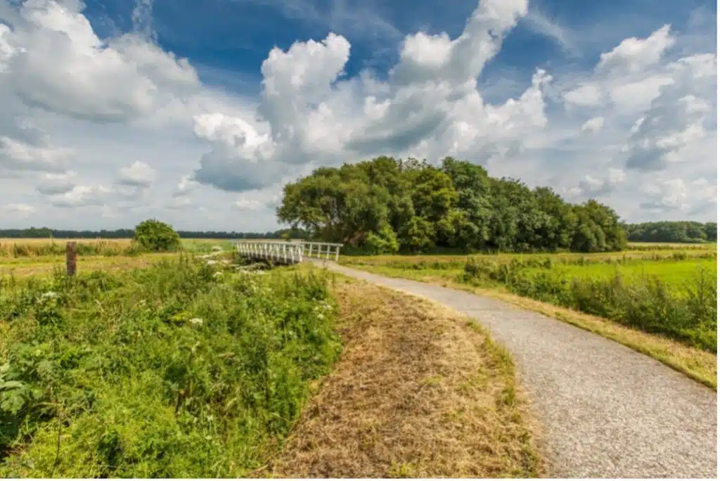 fietsroute roden door de Drentse natuur