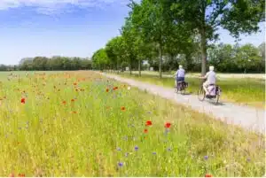 ouder echtpaar is aan het fietsen rondom roden