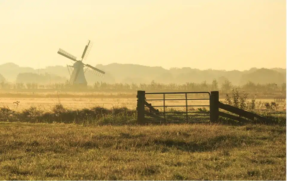 fietsen rondom roden door oudhollands landschap met molen en weiland